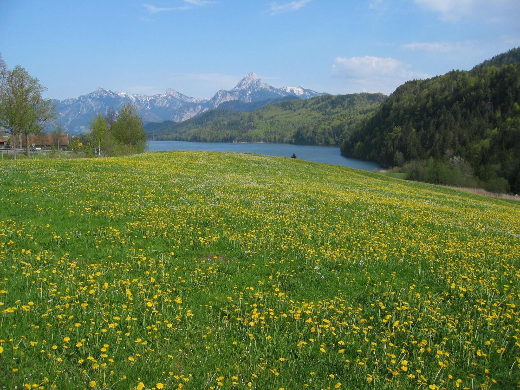Steigmuehle Pension Garni Füssen Zewnętrze zdjęcie